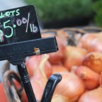 Simple Recipe for Egg Muffin Cups (plus FAQ’s)